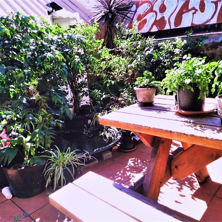 Asylum Sydney Backpackers Hostel Kültér fotó