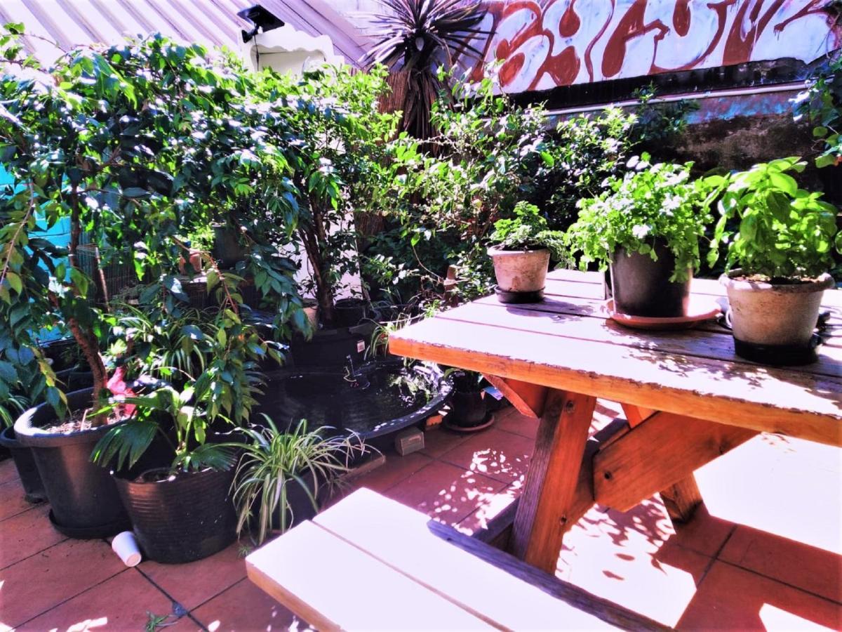 Asylum Sydney Backpackers Hostel Kültér fotó