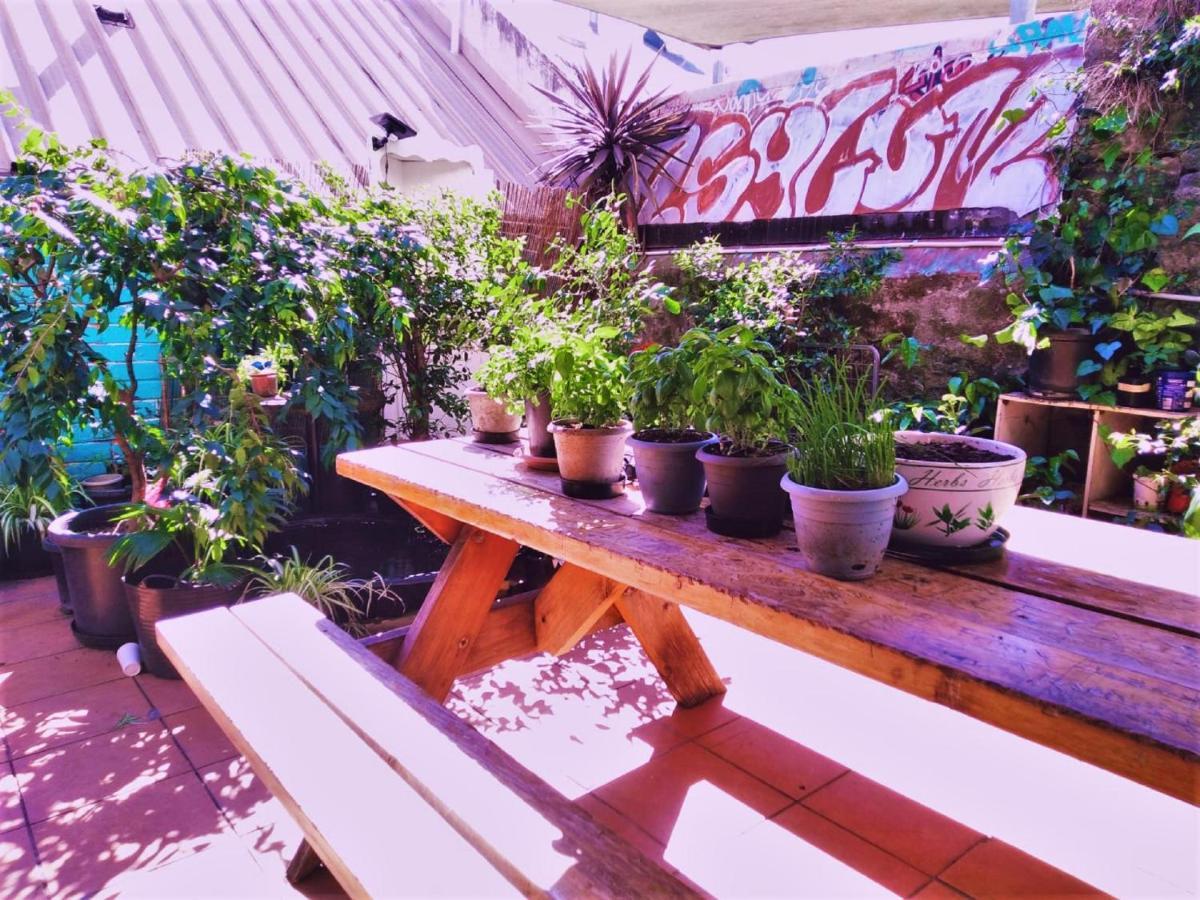 Asylum Sydney Backpackers Hostel Kültér fotó