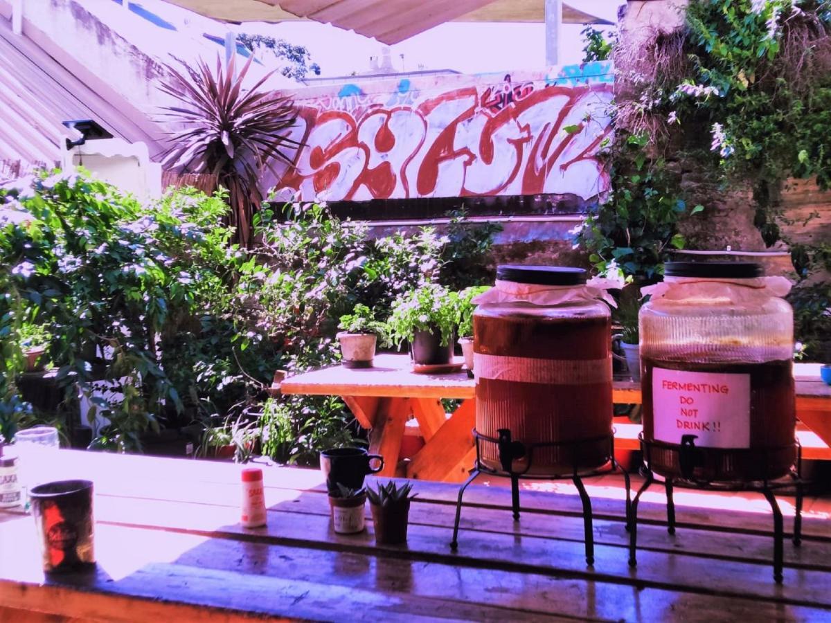 Asylum Sydney Backpackers Hostel Kültér fotó